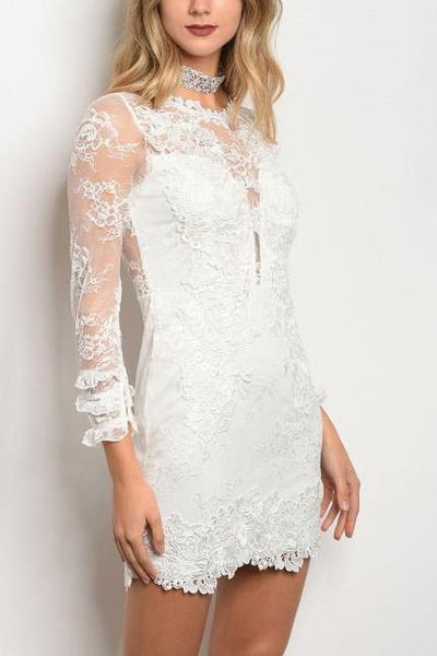 Lace Bodycon Mini Dress 26 & Eve Lace Bodycon Mini Dress 26 & Eve